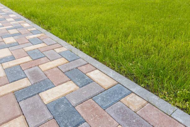 Best Best Driveway Pavers  in Fairmont, MN